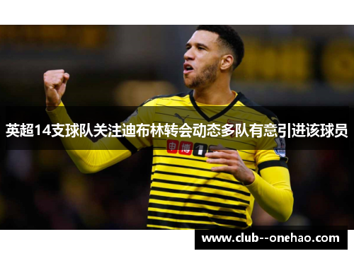 英超14支球队关注迪布林转会动态多队有意引进该球员 英超14支球队关注迪布林转会动态多队有意引进该球员