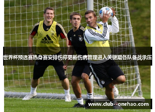世界杯预选赛热身赛安排伤停更新伤病管理进入关键期各队备战承压